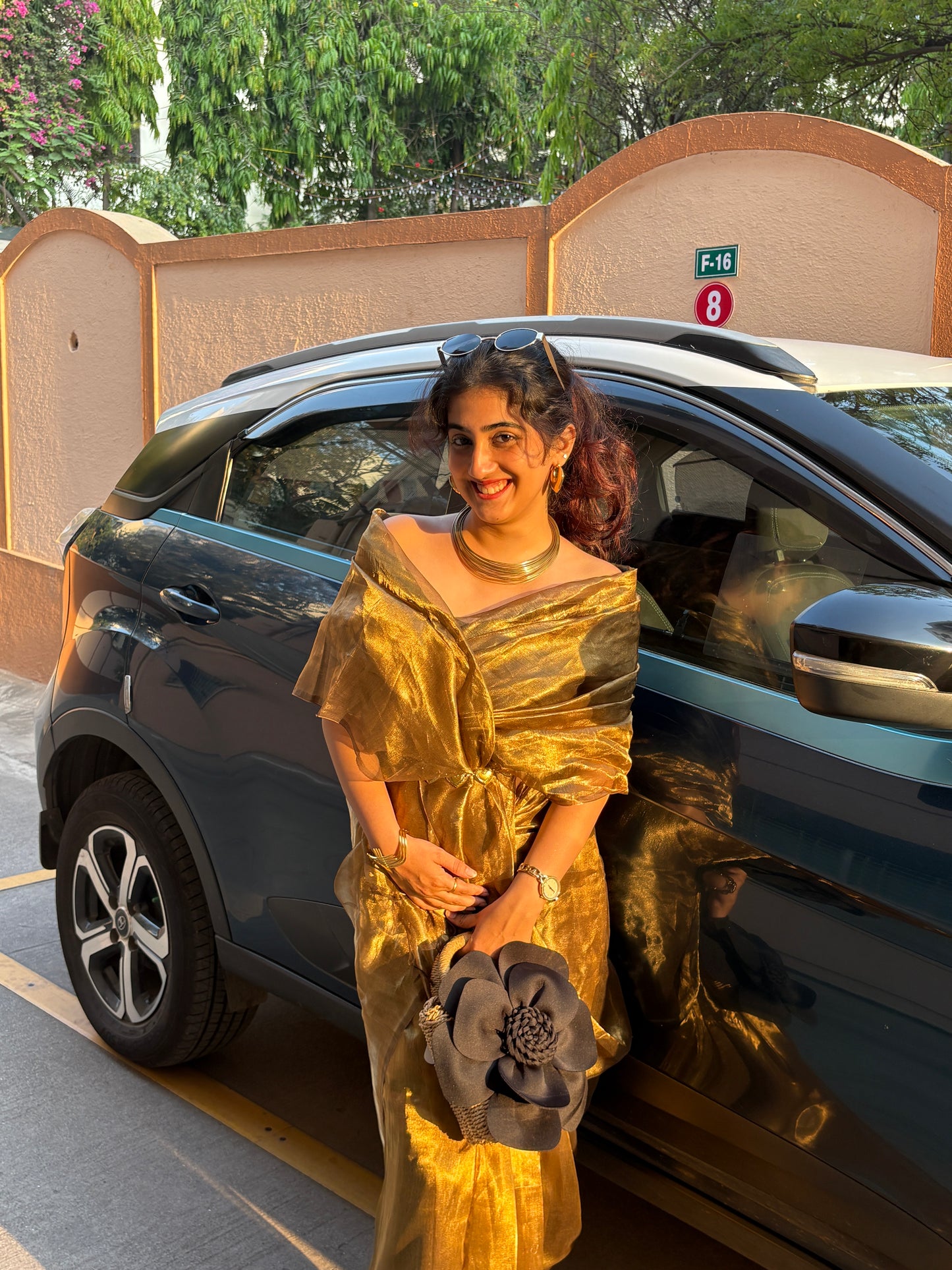 Tisshu silk saree